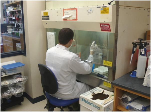 The Progression of the First Clinical Trials